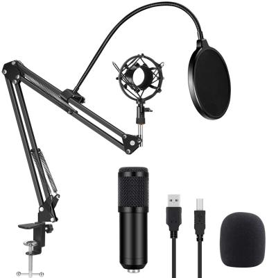 China Perfect Professional Noise CPYP BM-800 Condenser Microphone Studio Recording Microfono Condensador For Singing Broadcasting for sale