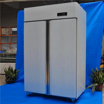 China Commercial Single-Temperature Restaurant Kitchen Freezer Refrigerator with 2 Metal Side-by-Side Doors for sale