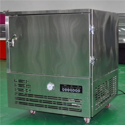 China 304 stainless steel dumplings freezer /small blast freezer for quick freezing for sale