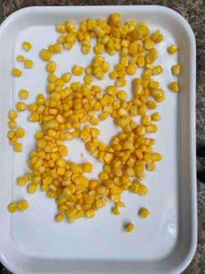 China Drainwed Weight 1800 G Canned Sweet Corn with Normal Open Lid and Salt Ingredients for sale