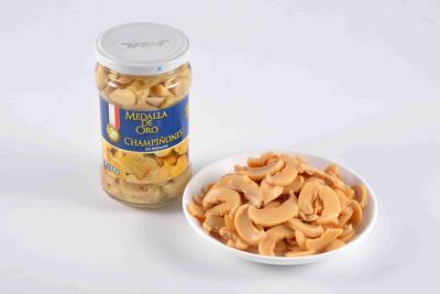 China Bulk Canned Vegetables , Canned Champignon Mushroom In Brine Fresh Raw Material for sale