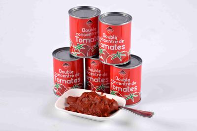 China New Crop Healthy Concentrated Tomato Paste 100% Natural Fresh Raw Material for sale