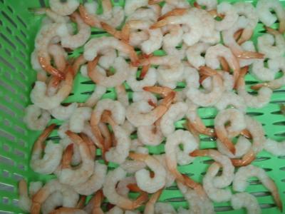 China Hoso Headless Safety Frozen Raw Shrimp Without Additives / Preservation for sale