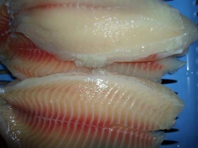 Κίνα Υγιή καθαρά φρέσκα ανόστεα παγωμένα Tilapia ψάρια, παγωμένες Tilapia λωρίδες προς πώληση