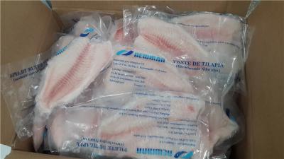 China De voedzame Verse Bevroren Zeevruchtentilapia Rijke Vitamine en het Mineraal van Filetsproducten Te koop