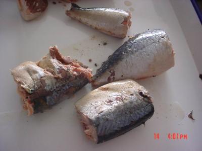 China Maçã enlatada na salmoura, Jack Mackerel Enlatado em molho de tomate Sem aditivos artificiais à venda