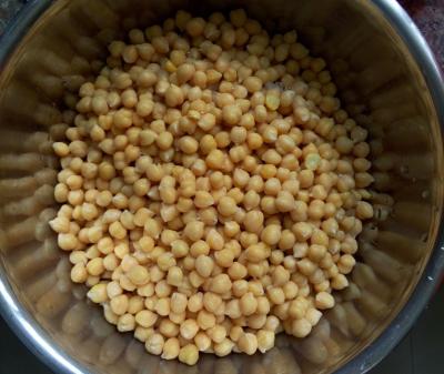 China Chick Peas Garbanzo In Brine conservado 425g, 567g, 800g en venta