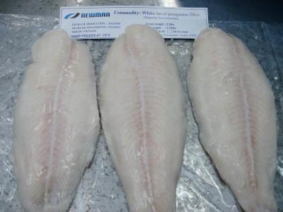 China Heerlijke Massa Bevroren Vissen Bevroren Pangasius-Filet/Basa-Vissen van Vietnam Te koop