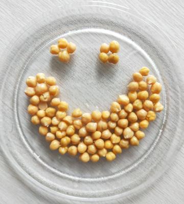 Chine La vente en gros de pois chiches en boîte par prix bon marché a préservé Chick Peas 400g à vendre