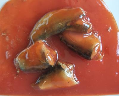 Cina 155g ha inscatolato il pesce della sardina in salsa al pomodoro con peperoncino caldo in vendita