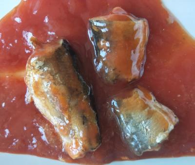 China 125G / 155G / 425G Canned Sardine Fish in Tomato Sauce for sale