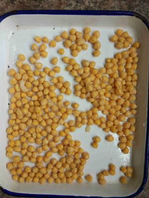 China Los guisantes rápidos conservados deliciosos 400g conservaron los garbanzos conservados precio barato al por mayor en venta