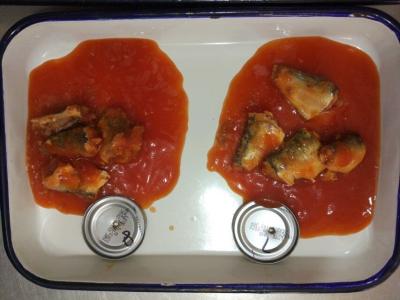 China 50, die X 155g Sardinen in Büchsen konservierte, fischen in der Tomatensauce mit scharfem Paprika zu verkaufen