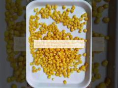 Enjoy the Convenience of Canned Sweet Corn Ready-to- and Nutritious Every Time
