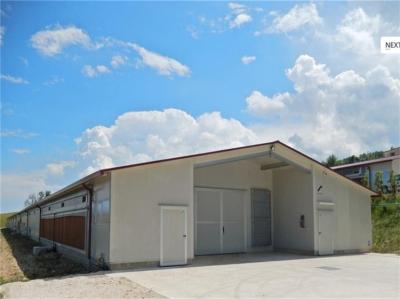 China Prefabricated Structural Steel Goat Shed for Sale with nice design for sale