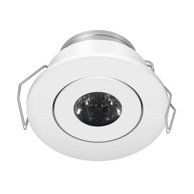 China Modern Round Remote Control Led Downlight Down Large Indoor Led Ceiling Spot Light for sale