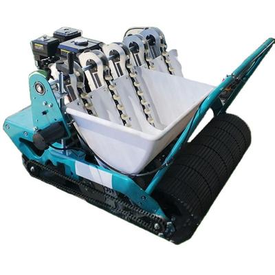 China High efficient farms and energy saving garlic planter machines for sale for sale