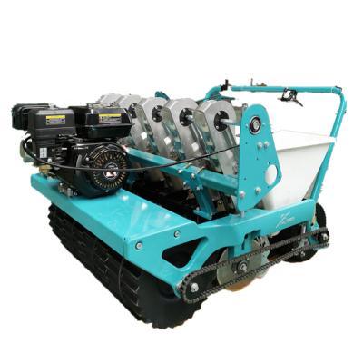 China Cultivate most popular factory outlet garlic seeder planter machine for sale for sale