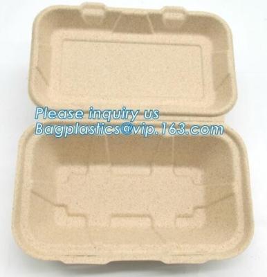 China Carne do amido de milho da louça/bolo biodegradável Compostable/bandeja retangular à venda