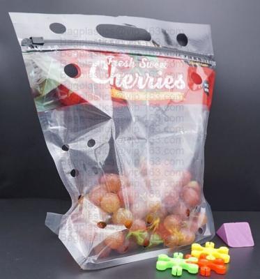 China bolso de empaquetado fresco del tomate de cereza, bolso general preservativo de la uva de la fruta fresca, bolso de Cherry Red Lift Sealed Packaging en venta