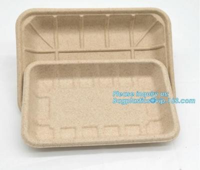 Chine 8 plateaux biodégradables et compostables de canne à sucre d'inchSquare, plateau compostable de portion de pulpe de canne à sucre, suga de bagasse de plateau de déjeuner à vendre