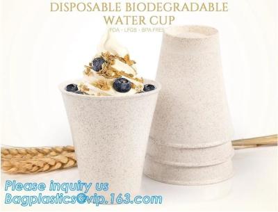 Chine Tasse en plastique compostable biodégradable écologique de boissons de café de PLA de la tasse 100% froid clair jetable fait sur commande de jus de boissons à vendre