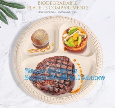 Chine La bagasse biodégradable écologique de canne à sucre plaque jetable, plat biodégradable jetable de pulpe de bagasse de canne à sucre pour à vendre