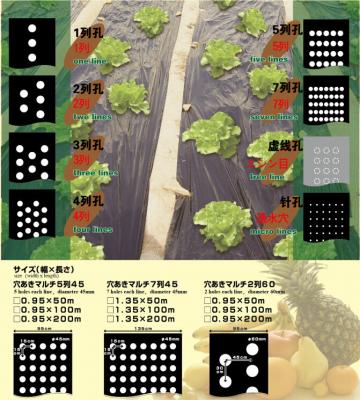 China Landwirtschafts-Bodendecke/Laubdecken-Film/Unkraut-Matte, biologisch abbaubarer Schwarzweiss-Film für landwirtschaftlichen Bedeckung- mit Laubfilm, compostab zu verkaufen