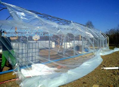 China plastic film agriculture greenhouse,6 mil poly anti-uv plastic greenhouse film,Anti-fog UV resistant,mushroom,TOMATO PAC for sale