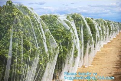 Chine Anti filet en plastique de protection des plantes d'oiseau/grêle/insecte pour l'agriculture, filet/serre chaude d'aphis de l'insectifuge anti net/20x10 à vendre