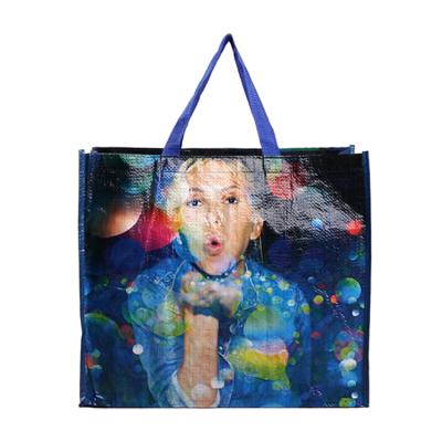 China Promotional Laminated PP Woven Handled Eco Polypropylene Bag Shopping Tote Bag Grocery For Supermarket for sale