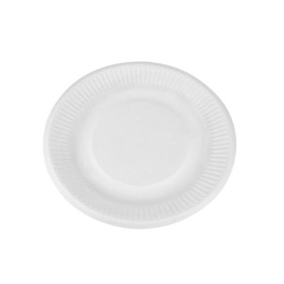 China Disposable Premium Eco Friendly Paper Plate 9