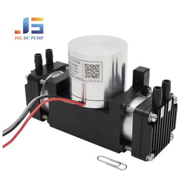 China Oilless Motor Electric Car Twin Air Compressor 12V Heavy Duty Pump for sale