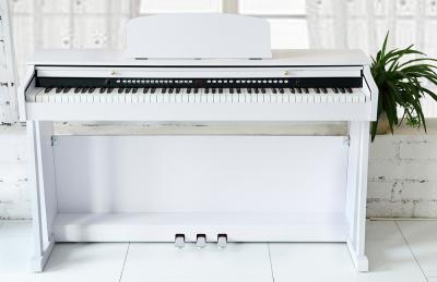 China White Polished 88 Key Digital Piano for sale