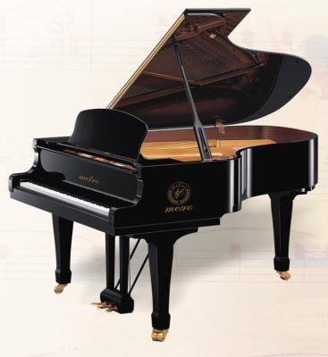 China Handcrafted 225cm Solidwood Acoustic Grand Piano For Concert Playing AG-GP225B for sale