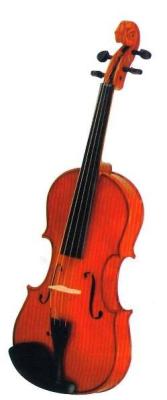 China Full Size Hand carved Spruce , Maple Rosewood pegs Violin for sale