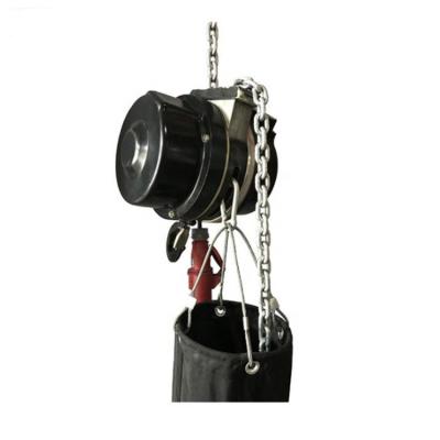 China Building Material Shops Electric Manufacturer Supply Chain Hoist For Stage Performance for sale