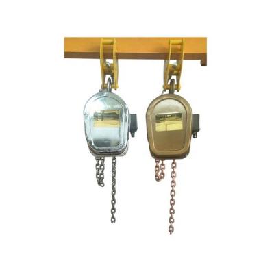 China Building Material Shops Lifting Stainless Steel Chain Hoist Stainless Steel China Electric Construction Work Motor for sale