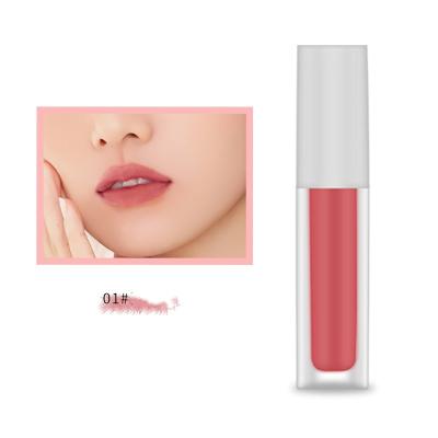 China Wholesale OEM Cosmetics Girls Waterproof Lip Gloss Custom Logo Private Label Matte Cream Lip Gloss for sale