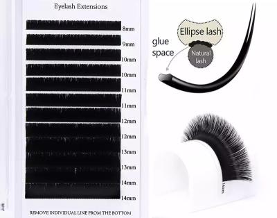 China Lightweight And Flexible C D cc Dual Density Curl Mix Length Easy To Graft Black Flat Lash Ellipse Silk Single Fan Eyelash Graft for sale