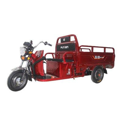 China Cargo 1000W 3 Wheel Triciclo Electric Trike Motorized Trike Adult for sale