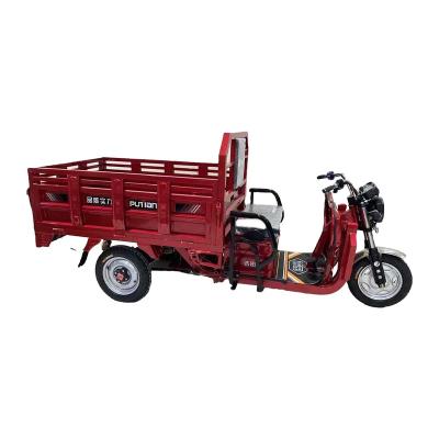 China 1000W Cargo Drift Tricycle Electric Adult Tricycle for sale