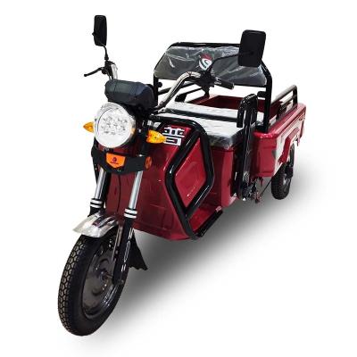 China Electric Tricycle W Motor Elettric Watt Motor Elektrische Tricycle Cargo 1500 Drift Motor for sale