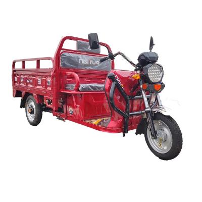 China Electric Cargo Moto Triciclo Hibrida Na India Tricycle for sale