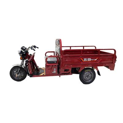 China Factory wholesale cargo open scooter 5000w electric tricycle for men use for sale