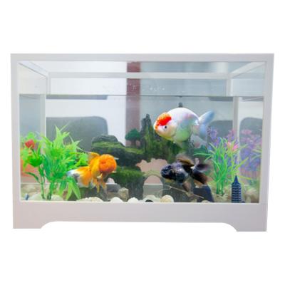 China China Professional Aquatics Aquariums Aquariums Customized Hot Selling High Quality Viable Glass Tank for sale