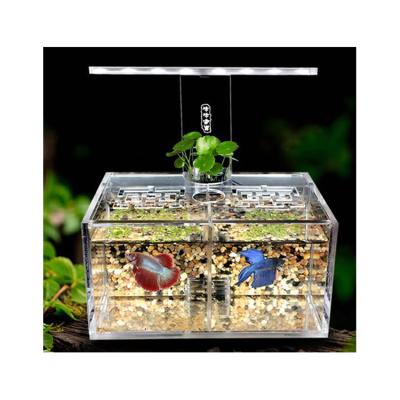 China Modern design sustainable factory hot selling sales ultra clear aquarium glass fish tank with light and filtration for sale