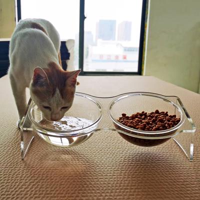 China Sustainable 13 Degree Tilting Double Transparent Cat Food Water Bowls With Anti Slip Bottom, Elevated Feeder Bowl For Dogs Cats for sale