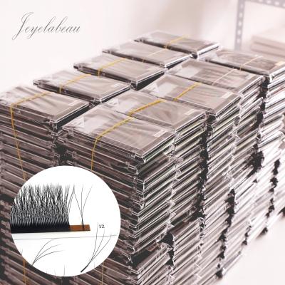 China W Shape Eyelash Extension False Mink Eyelash Extension Crisscross Hot Selling Individual Private Label for sale