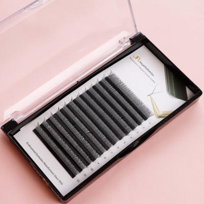 China Environmental material private label curvatura d 0.07 cilios whip plus yy type colored d loop y graft false eyelash for sale